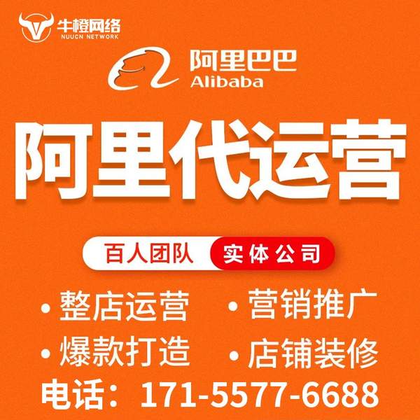 肥城电商代运营