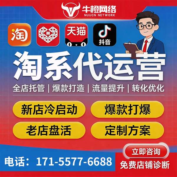 肥城电商代运营