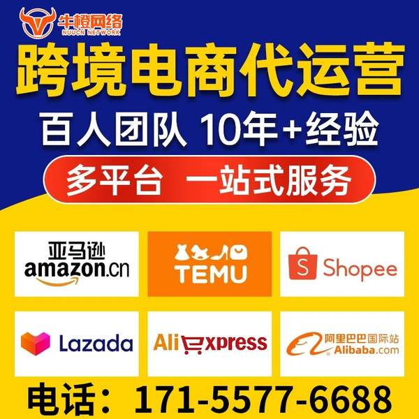 肥城电商代运营