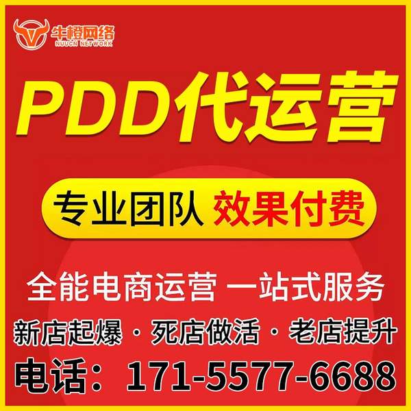 肥城电商代运营