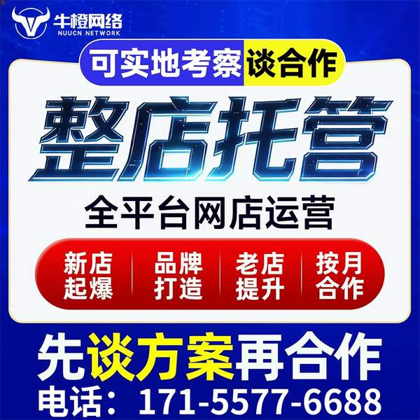 肥城电商代运营