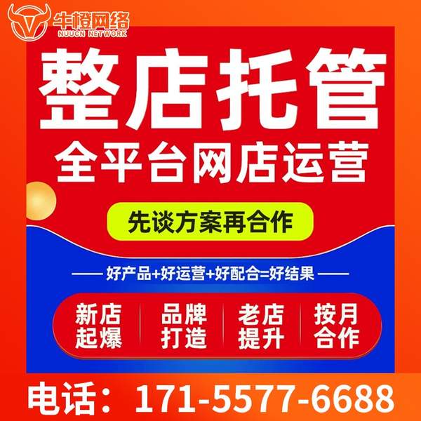 肥城电商代运营