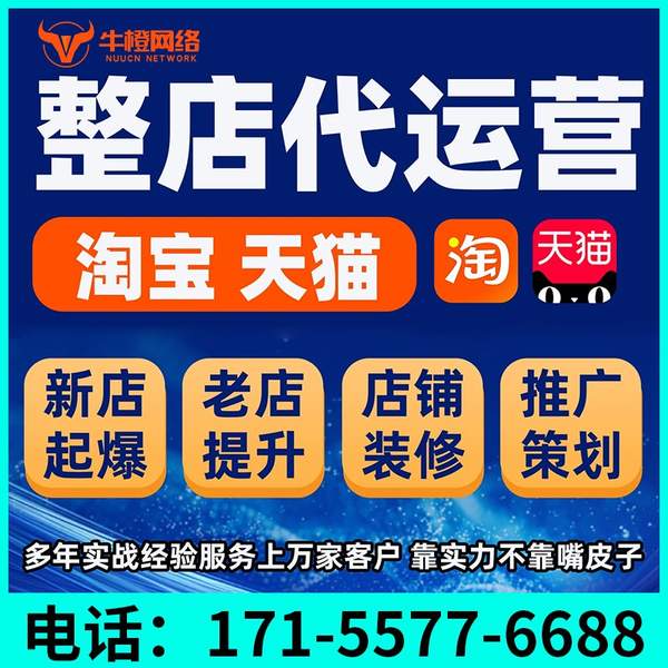 肥城电商代运营