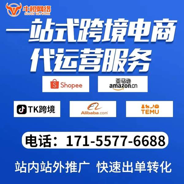肥城电商代运营
