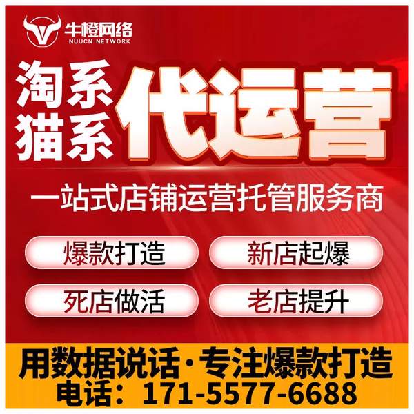 肥城电商代运营